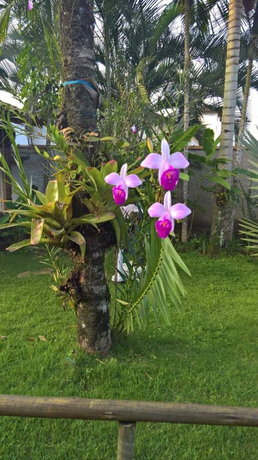 فندق Pouso Bom Retiro باراتي المظهر الخارجي الصورة