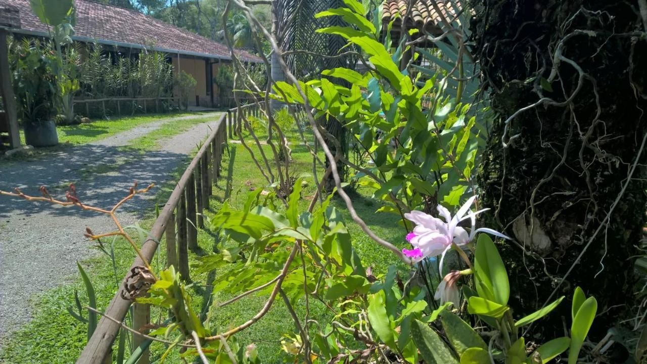 فندق Pouso Bom Retiro باراتي المظهر الخارجي الصورة