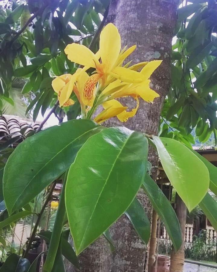 فندق Pouso Bom Retiro باراتي المظهر الخارجي الصورة